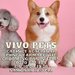 Vivo Pets - Cabinet Veterinar